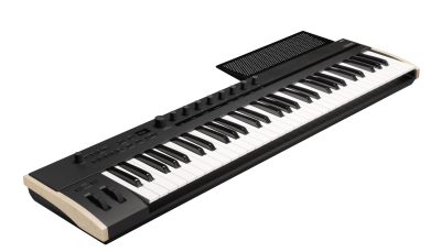 Korg Keystage 49 MIDI 2.0 Controller