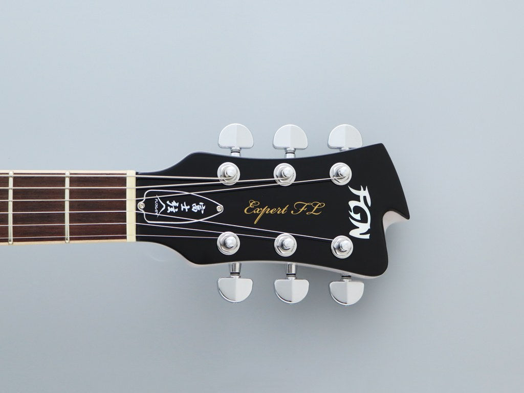 FGN EXPERT FLAME EFL-EM-R LTD2 IN STW FINISH