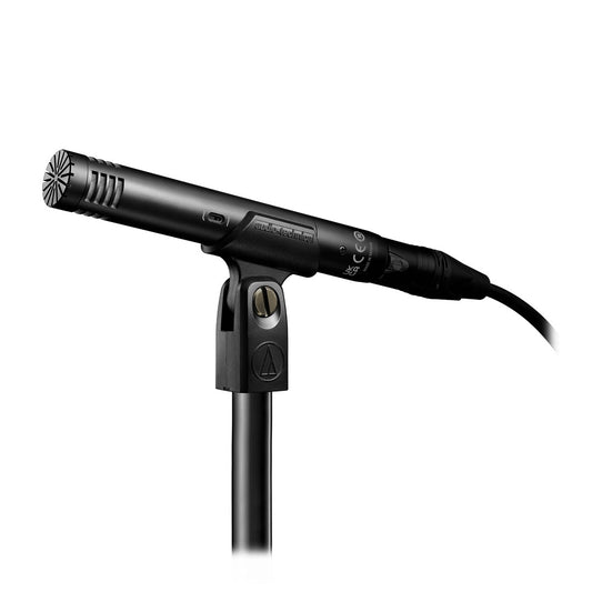 Audio-Technica AT2031 Cardioid Condenser Microphone