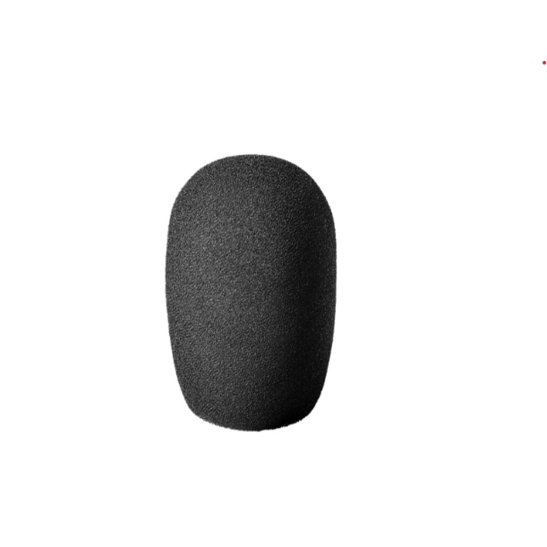 Audio-Technica AT2031 Cardioid Condenser Microphone
