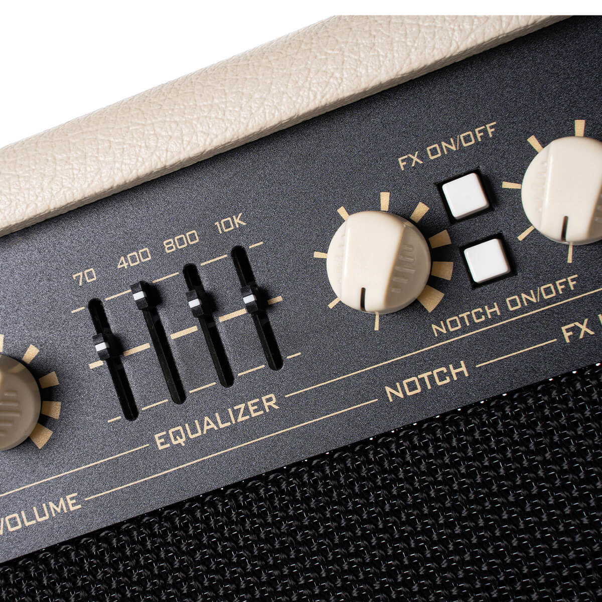 Cort AF60 Acoustic Guitar Amp