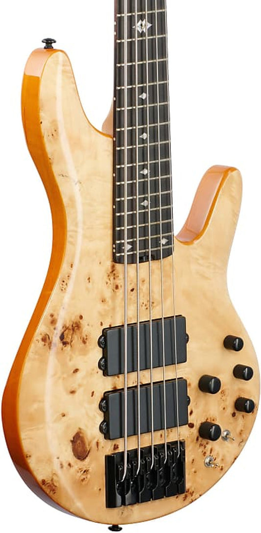 Michael Kelly Pinnacle 5 - 5 String Bass Guitar In Natural Burl