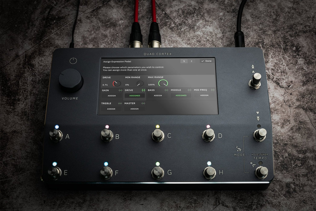 Neural DSP Quad Cortex - Fouche Guitars