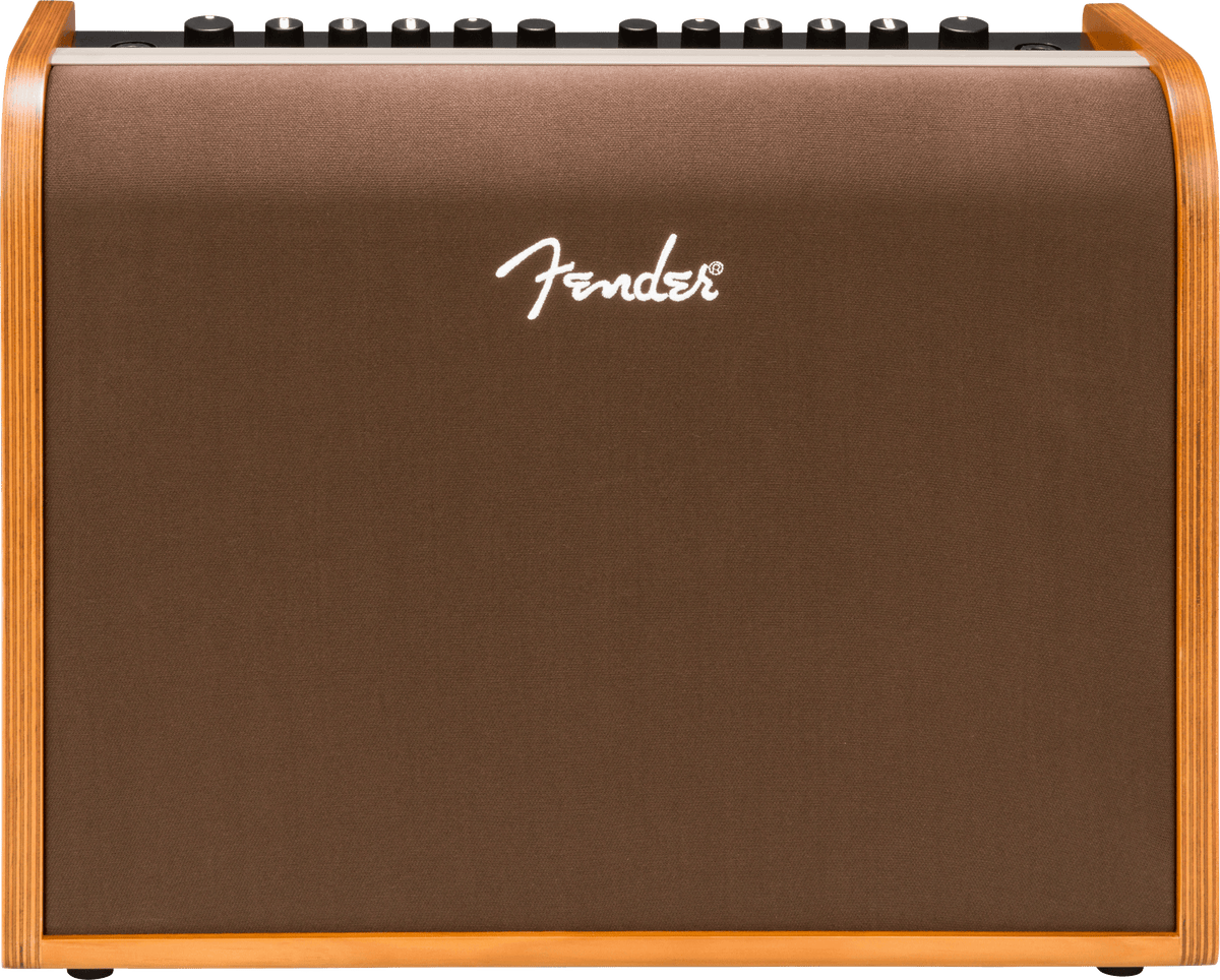 Fender Acoustic 100