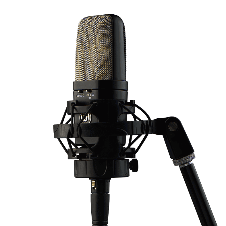 Warm Audio WA-14 Condenser Microphone
