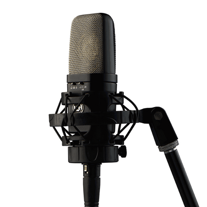 Warm Audio WA-14 Condenser Microphone