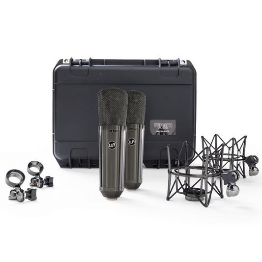 Warm Audio WA-87 R2 TS Condenser Microphone Stereo Pair