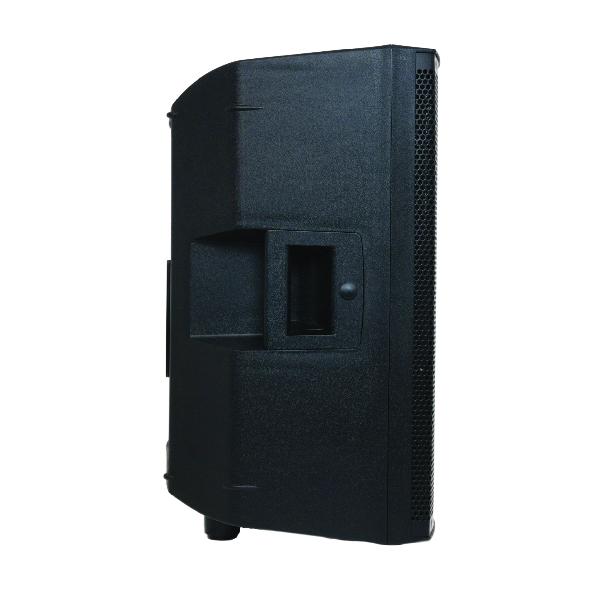 PowerWorks PWP-12A Active Speaker