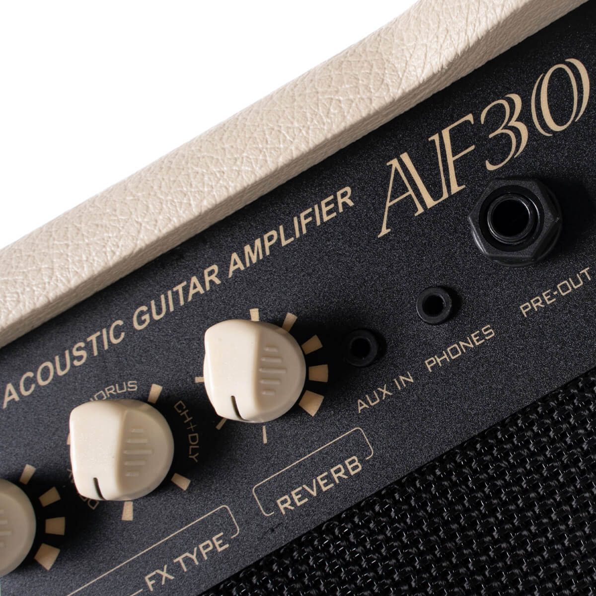 Cort AF30 Acoustic Guitar Amp