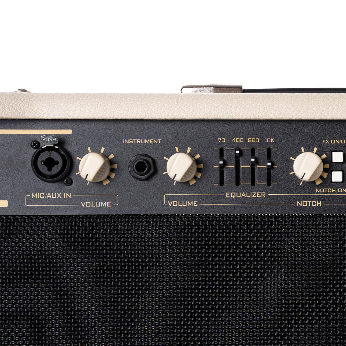 Cort AF60 Acoustic Guitar Amp