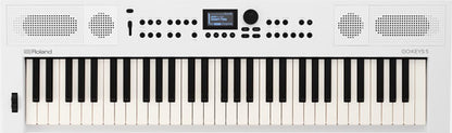 Roland GO:KEYS 5 61-Key Music Creation Keyboard - Graphite
