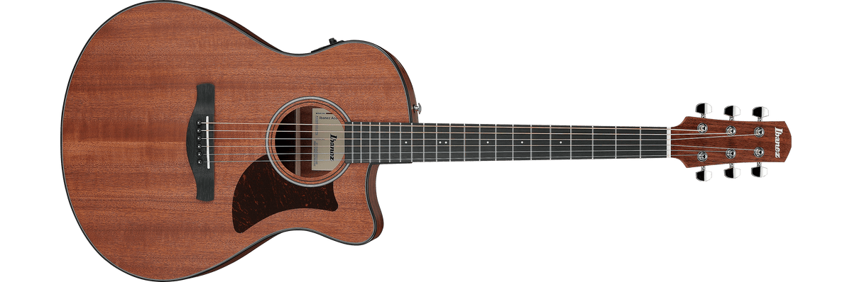 Ibanez AW54CE Acoustic-Electric Guitar – Open Pore Natural