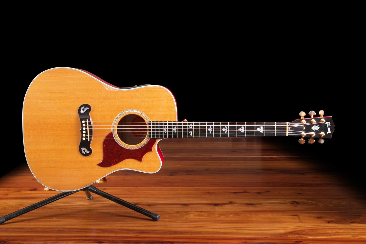 Gibson Dove artiste