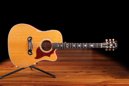 Gibson Dove artiste